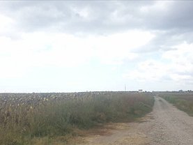 Teren agricol de vânzare, în Constanţa, zona Palas