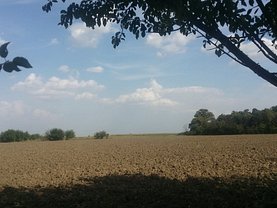 Teren faneata de vânzare, în Clinceni