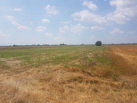Teren agricol de vanzare, în 1 Decembrie
