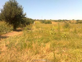 Teren agricol de vânzare, în Tulucesti