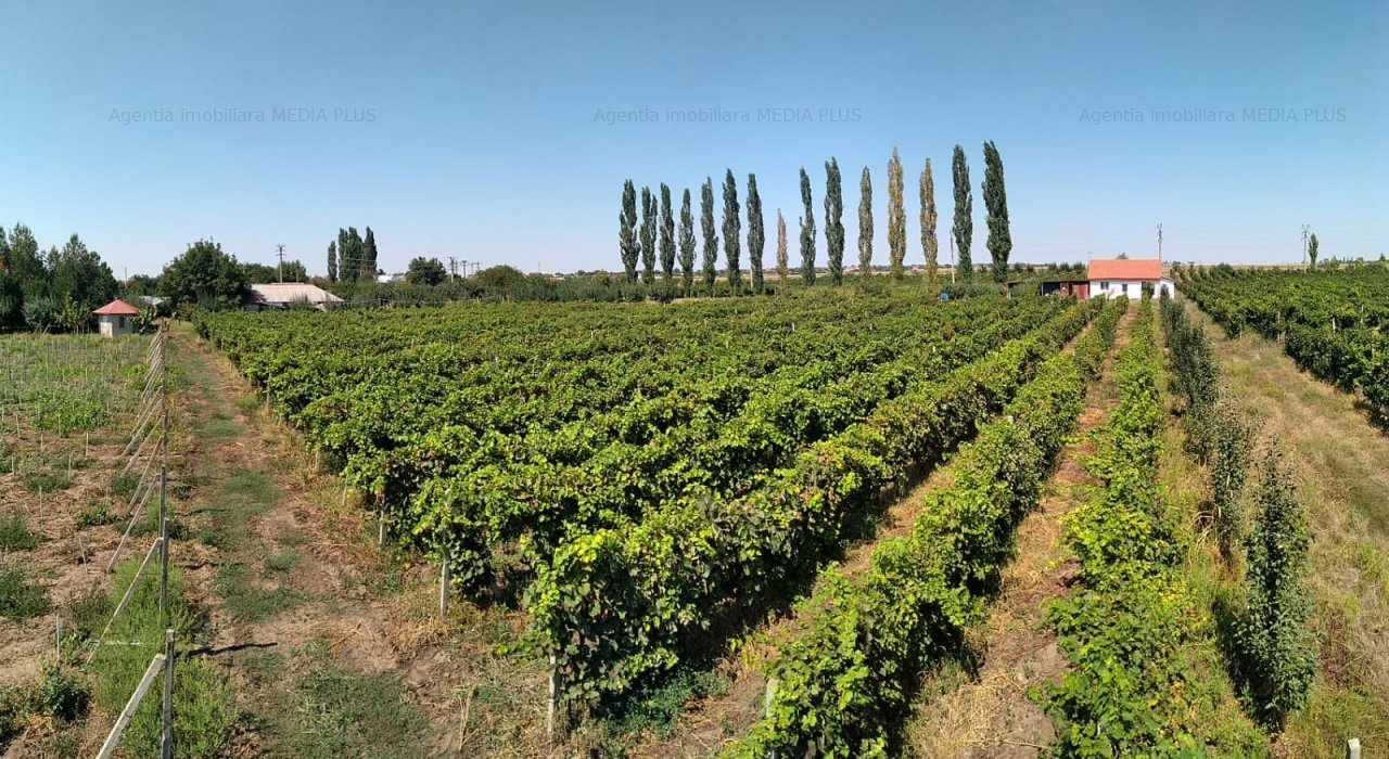 V&acirc;nzare teren investiţii