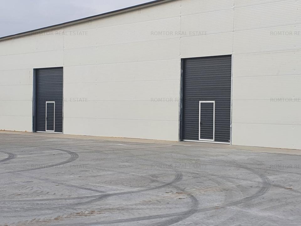 Zona Est - Cernica - Drumul Intre Tarlale