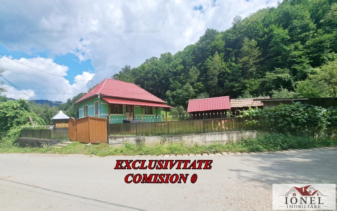 Vanzare casa in Presaca Ampoiului - Metes -2500 mp teren 