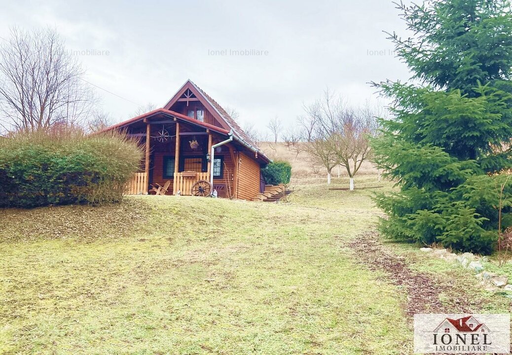 Vanzare casa in Ciugud - Seusa