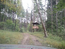Teren padure de vânzare, în Căciulata