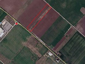 Teren agricol de vânzare, în Timişoara, zona Torontalului