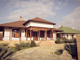 Vânzare podgorie