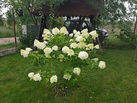 Casa de vânzare 8 camere, în Titu, zona Exterior Nord