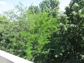 Apartament de vânzare 3 camere, în Bucuresti, zona Titan