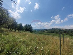 Teren constructii de vânzare, în Vâlcele