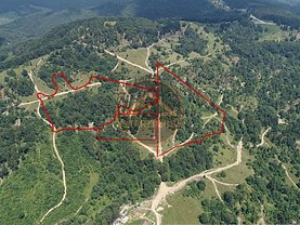 Teren constructii de vânzare, în Pârâul Rece
