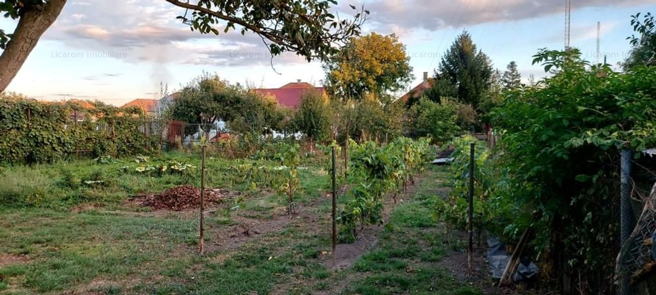 DUPLEX Bod Colonie,curte proprie 418MP, 69900 euro.