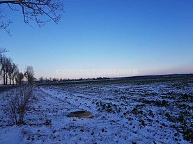 Teren constructii de vânzare sau de închiriat, în Buftea, zona Nord