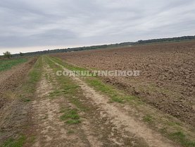 Teren constructii de vânzare, în Săbăreni