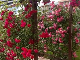 Casa de vânzare 5 camere, în Bucuresti, zona Drumul Taberei