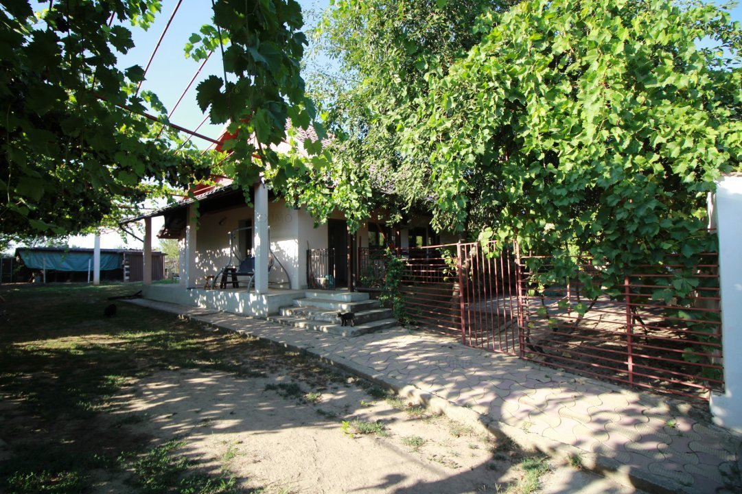 Casa La Tara - 2700MP - Tichilesti Constanta - Vita De Vie - Pomi Fructiferi