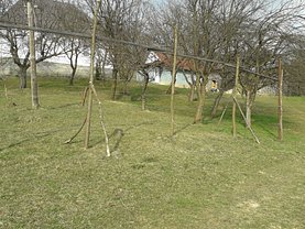 Casa de vânzare 3 camere, în Borsa, zona Periferie