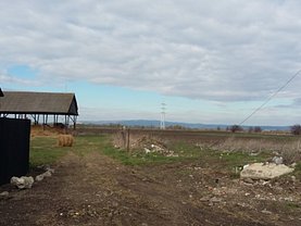 Licitaţie teren constructii, în Codlea