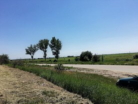 Licitaţie teren constructii, în Pielesti