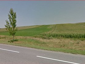 Licitaţie teren constructii, în Dumesti