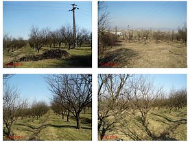 Licitaţie teren agricol, în Deva, zona Periferie