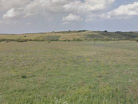 Licitaţie teren constructii, în Paleu