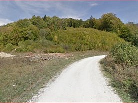 Licitaţie teren pasune, în Rasnov, zona Cheile Rasnoavei