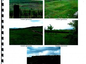 Teren agricol de vânzare în Mihaesti