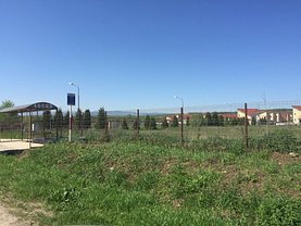 Licitaţie teren constructii, în Sura Mica