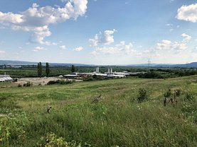 Teren agricol de vânzare în Mihaesti