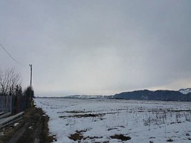 Teren construcţii de vânzare în Dumbrava Rosie