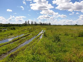 Licitaţie teren agricol, în Popesti-Leordeni