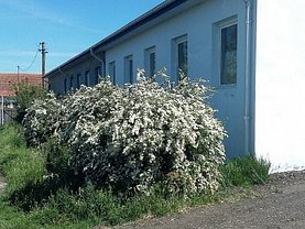 Spaţiu industrial în Botosani, Est