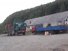 Spaţiu industrial în Negrilesti