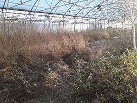Spaţiu industrial în Doba