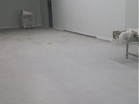 Spaţiu industrial în Cretesti