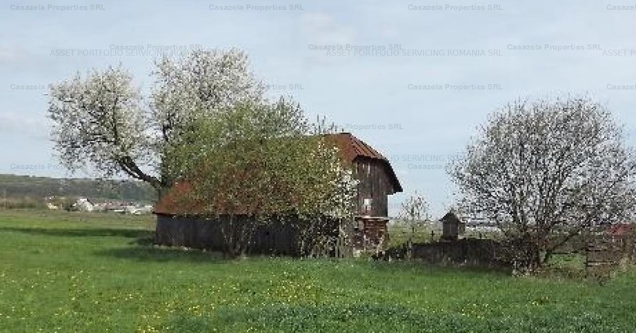 Casa si teren intravilan in Danila, jud Suceava - imaginea 1