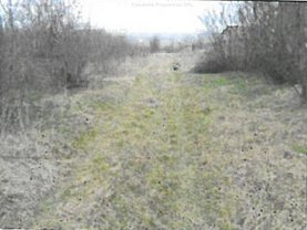 Teren construcţii de vânzare în Paleu