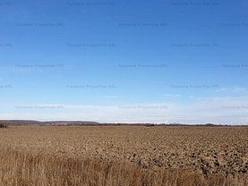 Teren construcţii de vânzare în Hintesti