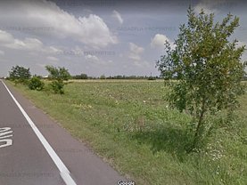 Teren construcţii de vânzare în Ghimpati