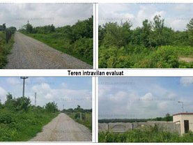 Teren agricol de vânzare în Crevedia, I.C. Bratianu