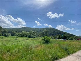 Teren construcţii de vânzare în Piatra-Neamt, Central