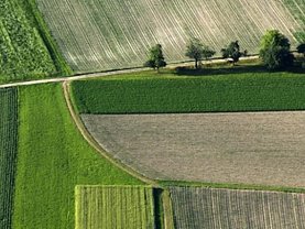 Teren agricol de vânzare, în Mangalia