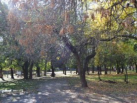 Apartament de vânzare 3 camere, în Bucureşti, zona Drumul Taberei