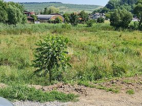 Teren constructii de vânzare sau de închiriat, în Livezeni, zona Central