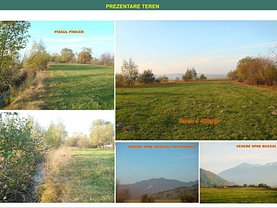 Teren agricol de vânzare, în Râşnov, zona Glăjărie