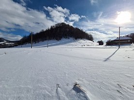 Teren padure de vânzare, în Ciocanu