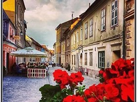 Vânzare spaţiu comercial