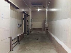 Închiriere spaţiu industrial