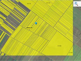 Teren agricol de vânzare, în Berceni
